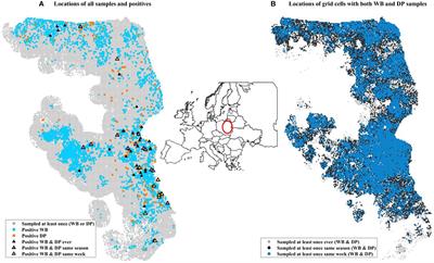 Risk of African swine fever virus transmission among wild boar and domestic pigs in Poland